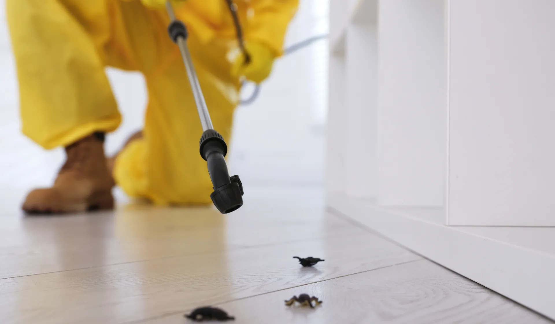 Seasonal pest control demand and PPC budget cycles